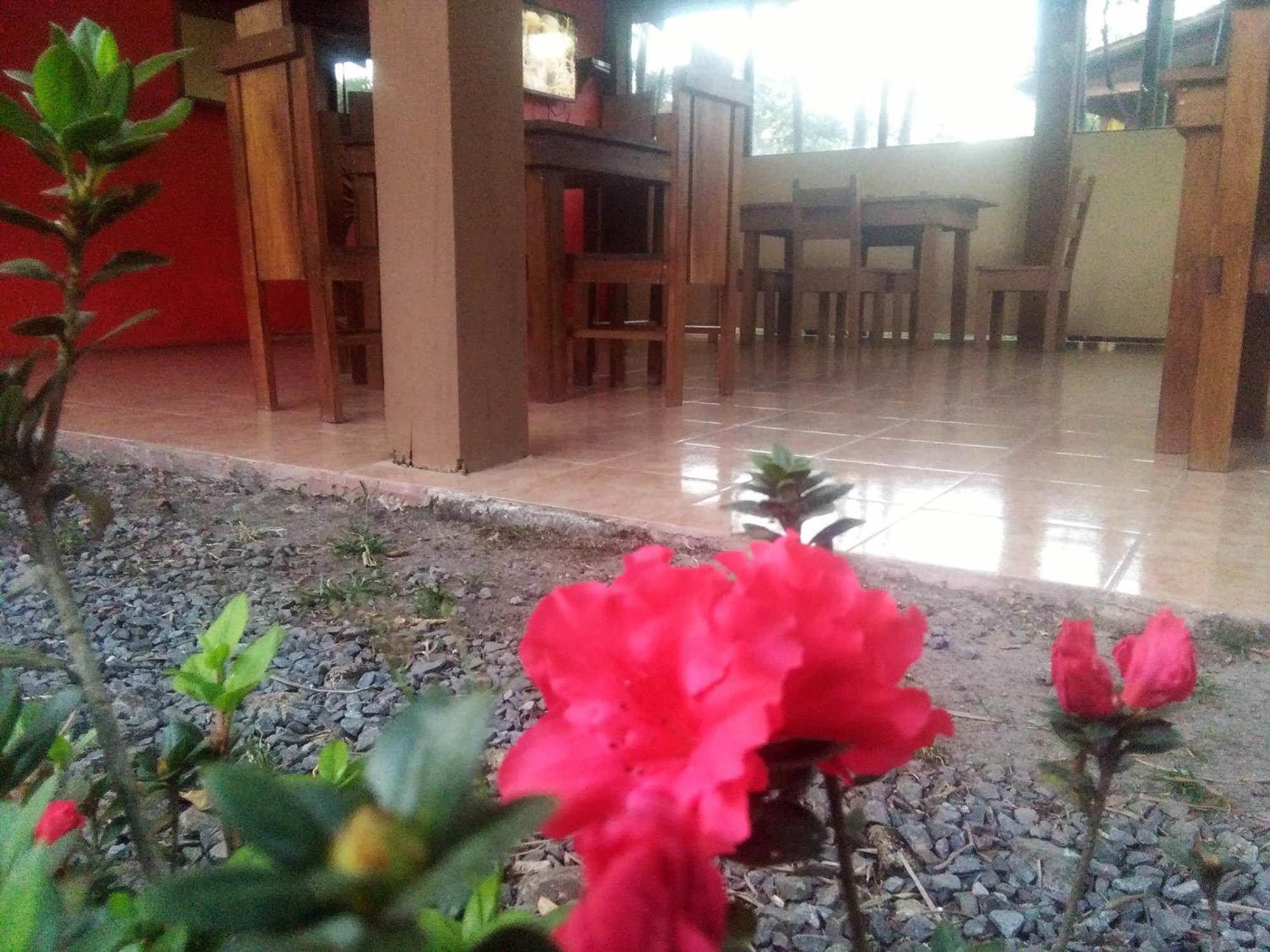 Slow Travel Lodge Upala Dış mekan fotoğraf